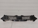 Lower Grille